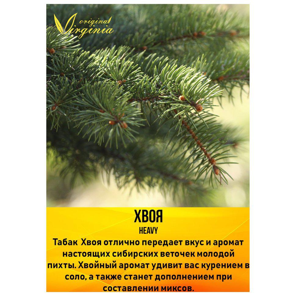Табак для кальяна Хвоя