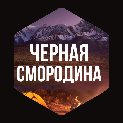 Табак для кальяна Чёрная Смородина