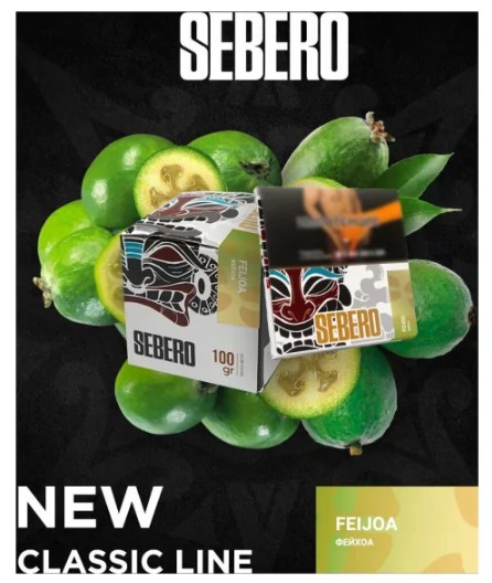 Табак для кальяна Feijoa
